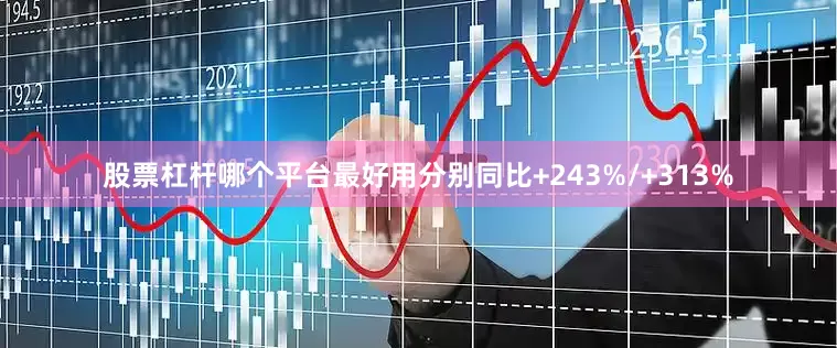 股票杠杆哪个平台最好用分别同比+243%/+313%