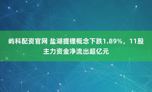 屿科配资官网 盐湖提锂概念下跌1.89%，11股主力资金净流出超亿元